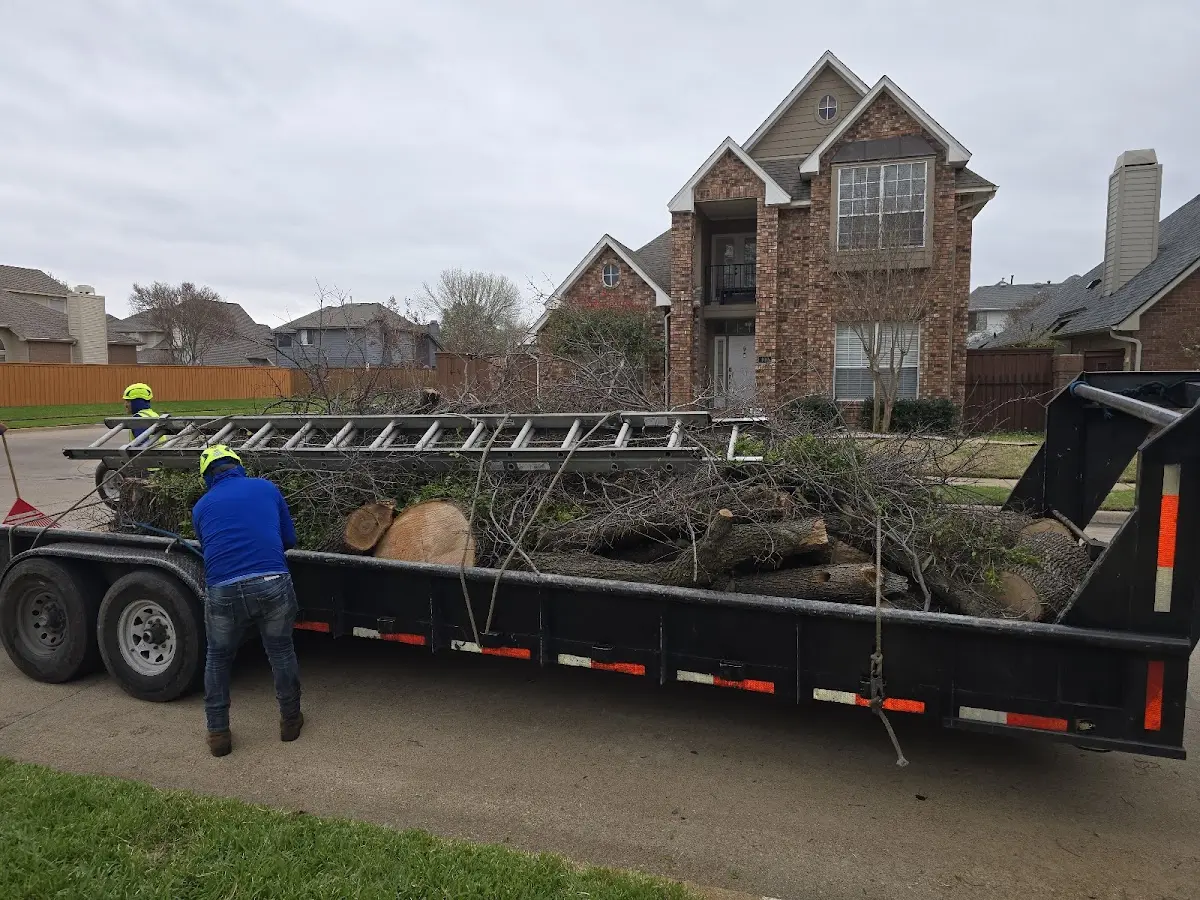 Expert Tree Fertilization with proper safety equipment in Tivoli